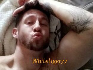 Whitetiger77