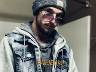 WildElijah