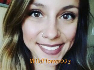 WildFlower023