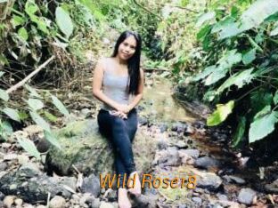 Wild_Rose18