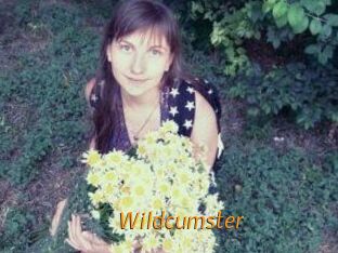 Wildcumster