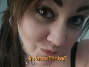 WildestFantaC