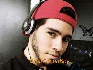 WoltCrwuaBoy
