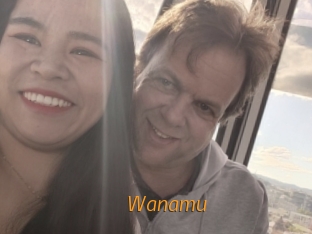 wanamu Porn University