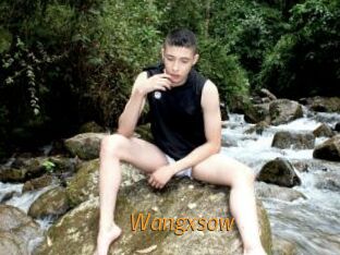 wangxsow Porn University