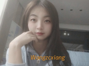 Wangzcxiang
