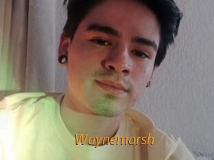 Waynemarsh