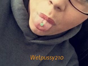 Wetpussy210