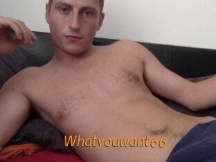 Whatyouwant66