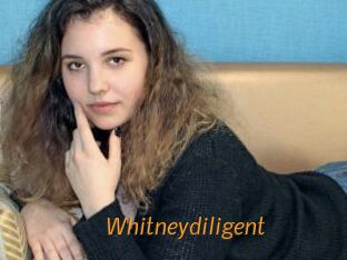 whitneydiligent Porn University