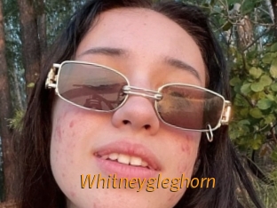 Whitneygleghorn