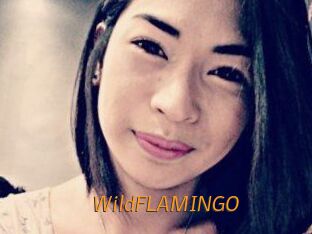 WildFLAMINGO