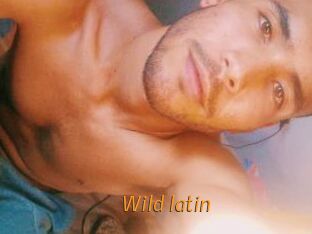Wild_latin