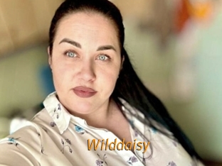 Wilddaisy