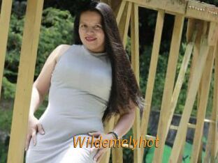 Wildemelyhot