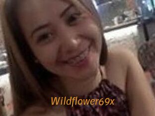 Wildflower69x