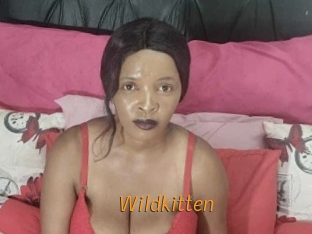Wildkitten