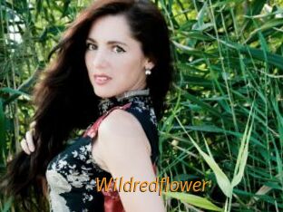 Wildredflower