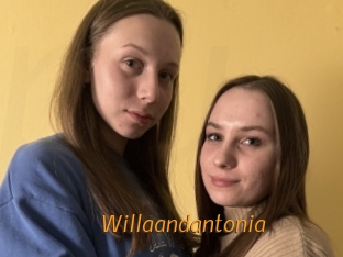 Willaandantonia