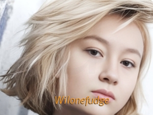 Wilonefudge