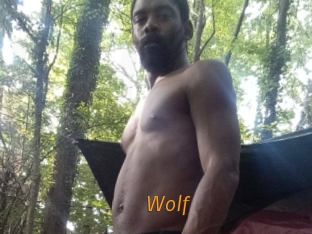 Wolf