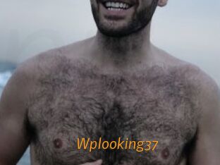 wplooking37 Porn University