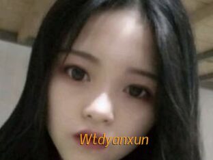 Wtdyanxun
