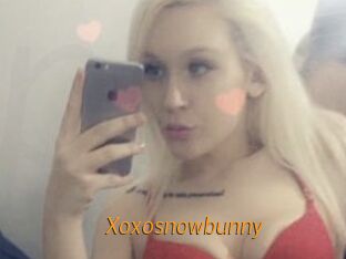 Xoxosnowbunny