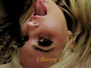 _x_Bunny_x_