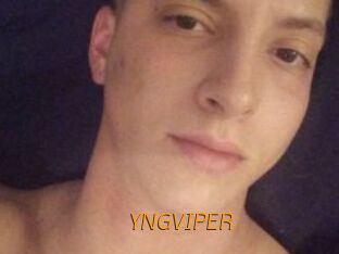 YNGVIPER