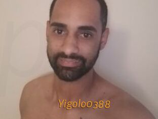 Yigolo0388