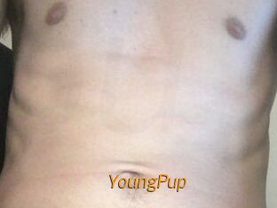 YoungPup