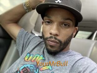 YourMrBull