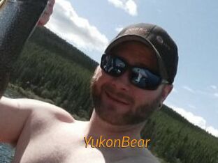 YukonBear