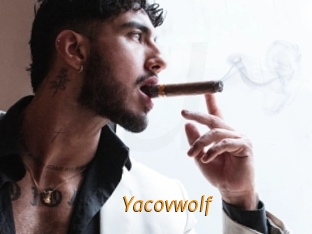 yacovwolf Porn University