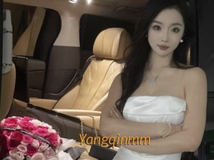 Yangqinmm