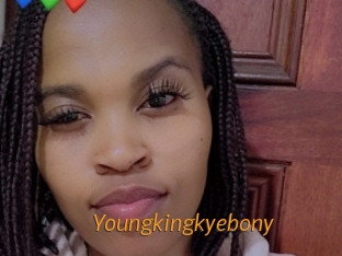 Youngkingkyebony