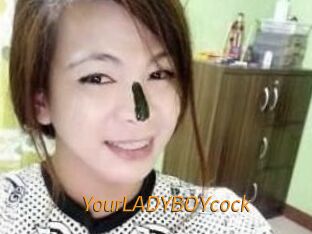 YourLADYBOYcock