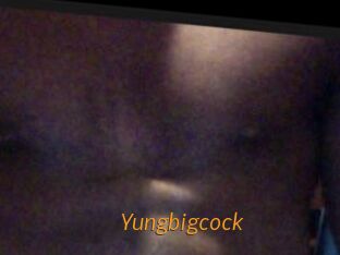 Yungbigcock