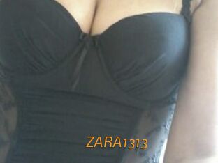 ZARA1313