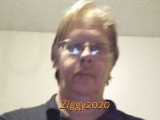 Ziggy2020