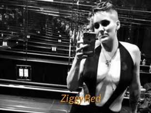 ZiggyRed
