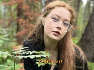 Zadnizza