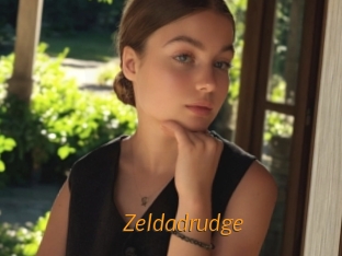 Zeldadrudge