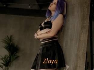 zlaya Porn University